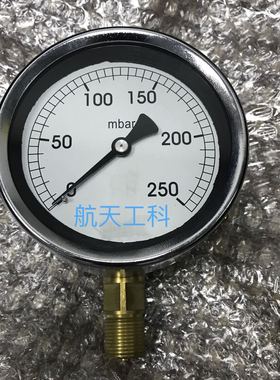 微压气压计 膜盒压力表 YE-100 0-250mbar 直径100mm 螺纹m20x1.5