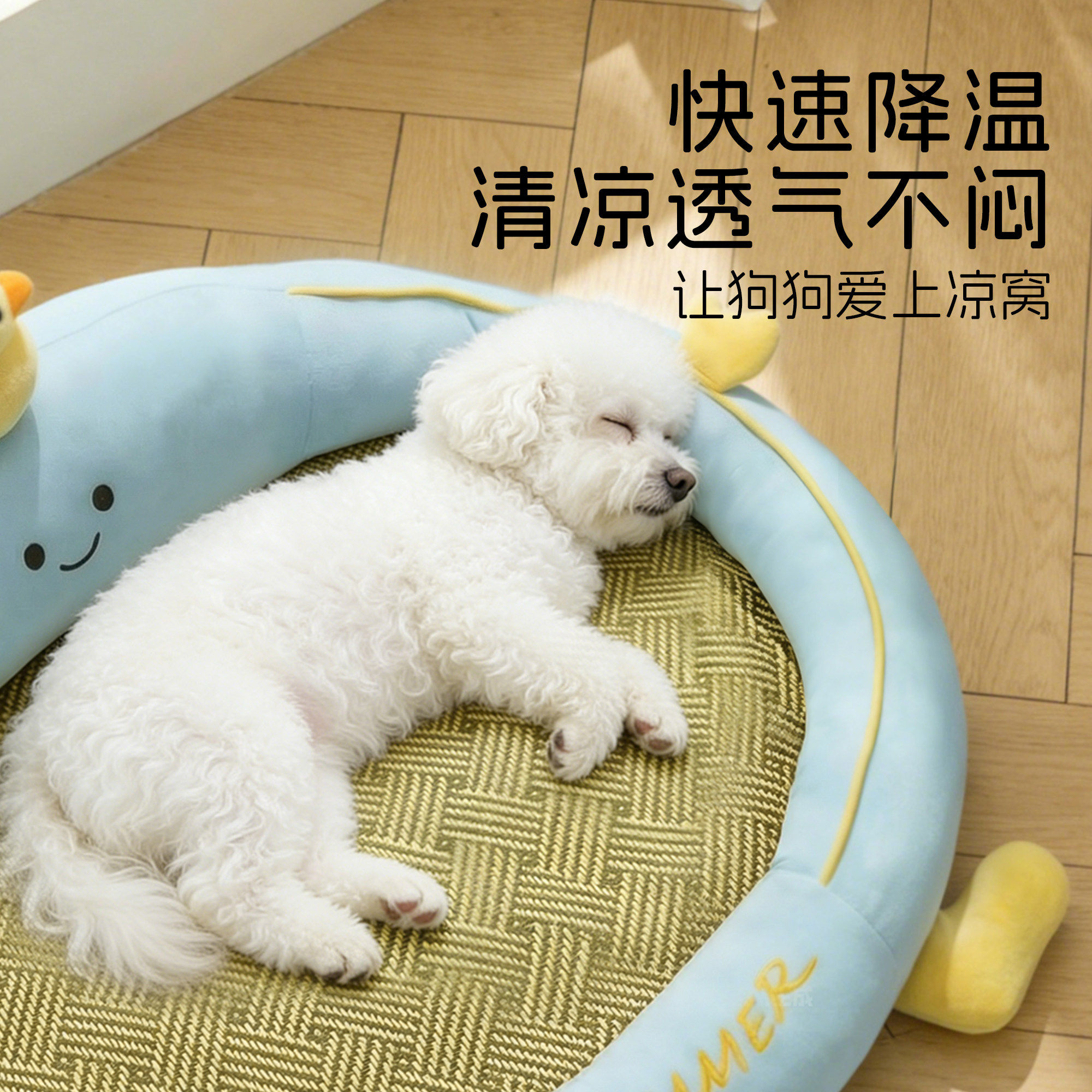 狗窝四季通用新式夏季小