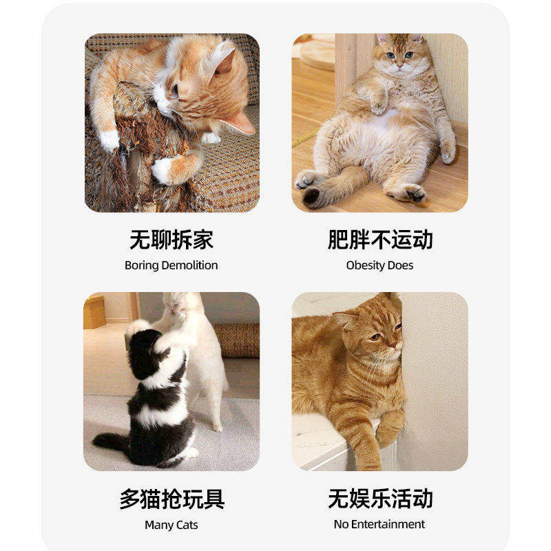 宠物智能逗猫玩具互动捕