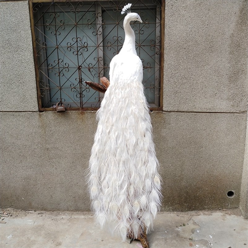 新款仿真白孔雀动物模型大摆件橱窗客厅J园林装饰舞台婚庆摄影道