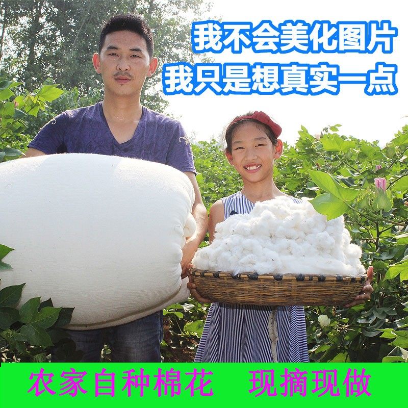 棉被棉絮冬被100%里外全棉被芯冬季加厚保暖纯棉花被子棉胎絮垫被,床上用品,棉花被,淘宝优惠券,粉丝福利购,淘宝优惠卷