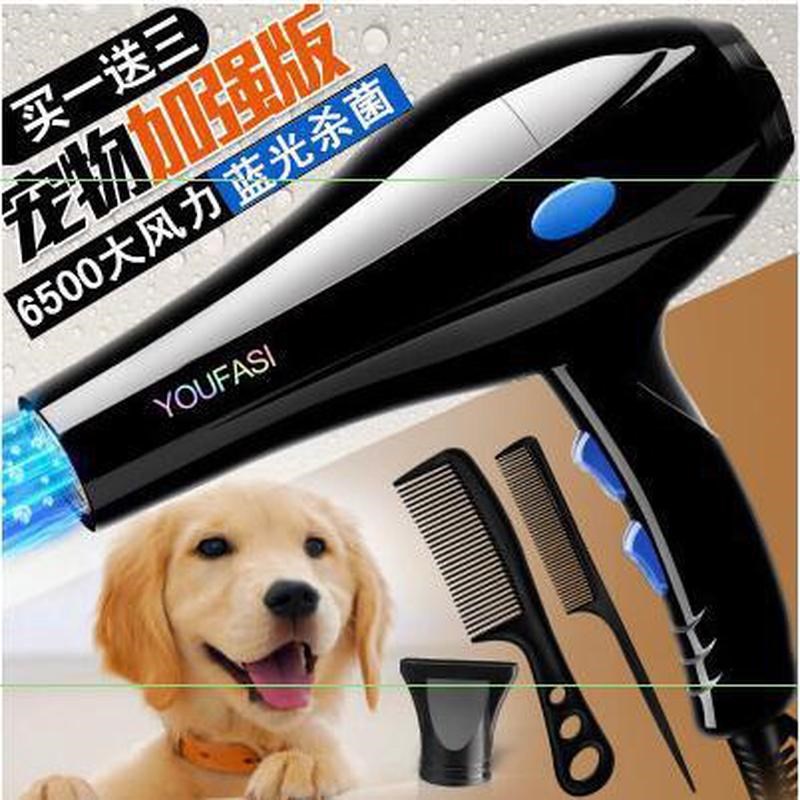 猫咪大型犬家用大功率狗狗吹风机烘干吹毛宠物吹水机洗澡吹干