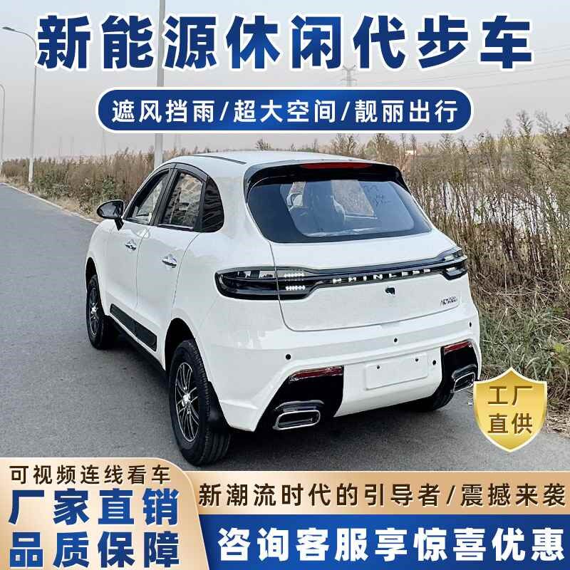 新能源老头乐电动四轮车油电两用轿E车接送学生全封闭家用四轮车