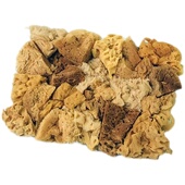 艺术漆天然海藻刷涂料三色珠光幻彩大中小海藻棉点印工具