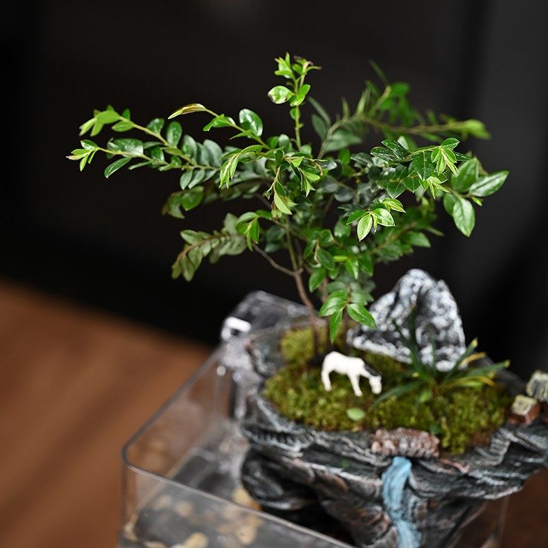 流水微景观紫檀绿植假山鱼缸盆造景循环水客厅办公室桌面礼品,家居饰品,流水摆件,淘宝优惠券,粉丝福利购,淘宝优惠卷