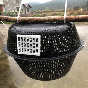 控王放养大号公分防水盖胡蜂马蜂黄脚七里葫芦蜂野化防逃