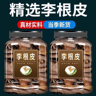 李根皮中药材500g正品李根白皮 甘李根白皮正宗中药材新货泡水