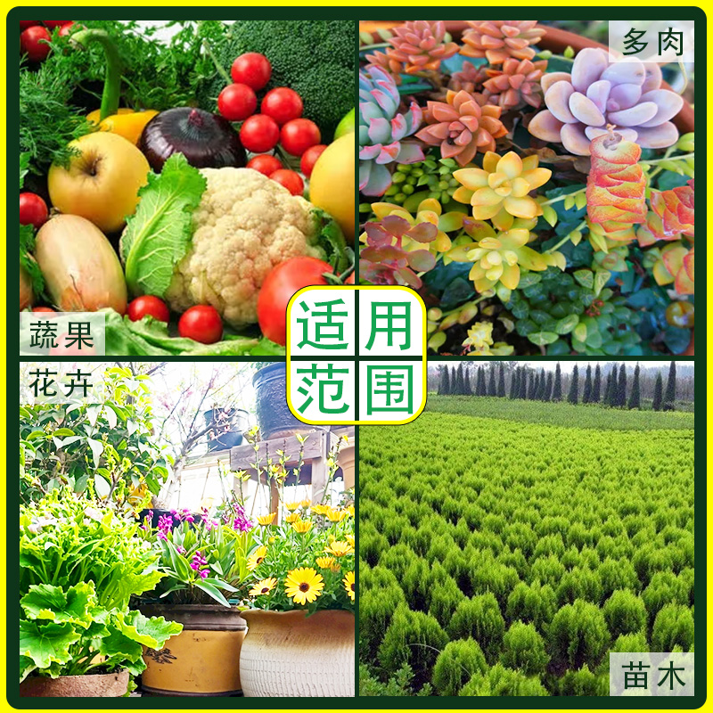 强力生根粉果树盆景苗木扦插移栽生根剂营养液植物花肥通用型