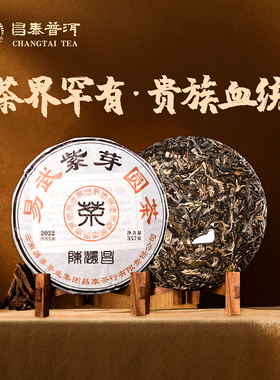 昌泰普洱2022年易武紫芽圆茶 357g 生茶普洱茶春茶口粮茶紫芽