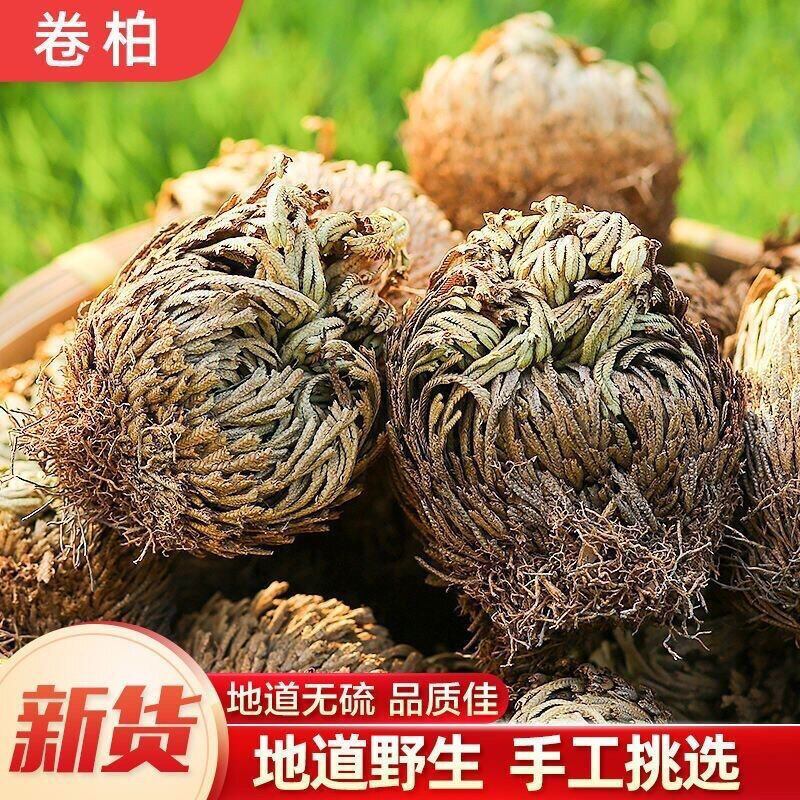 云南野生卷柏中药材九死还魂草卷