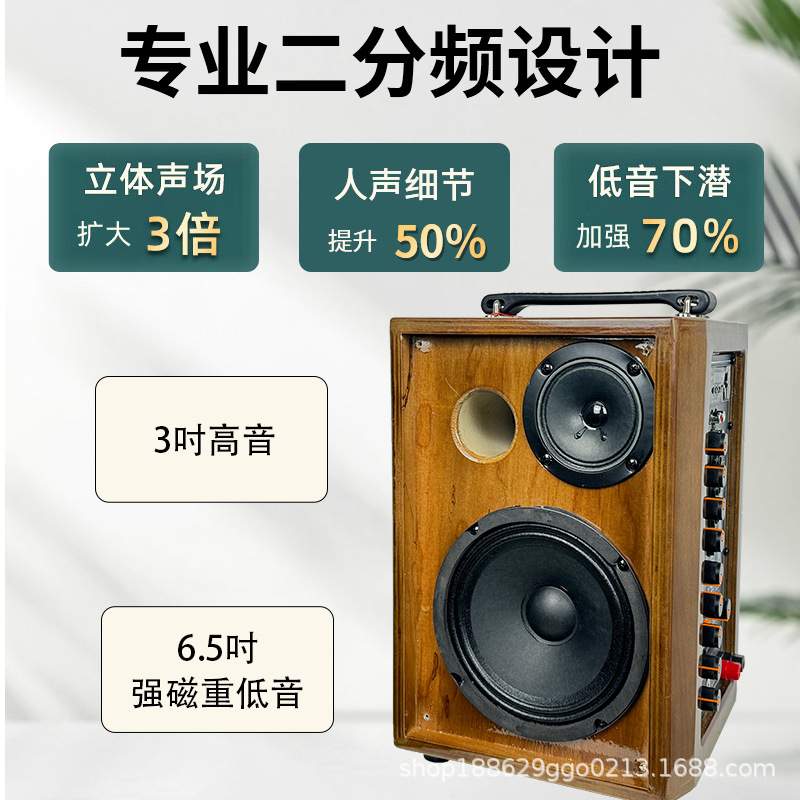 欧美声006V手提便携式户外k歌乐器专用音响广场舞小型音箱带话筒