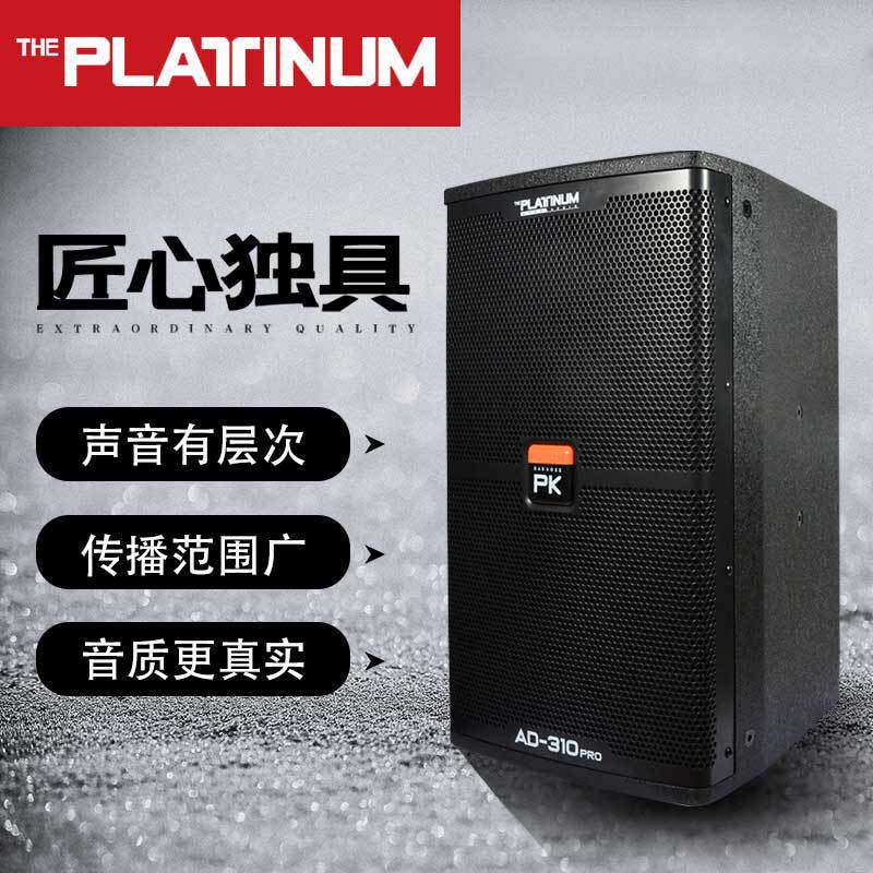 PLATINUM舞台KTV组合音响家庭点歌会议包间套装10寸卡拉OK低音