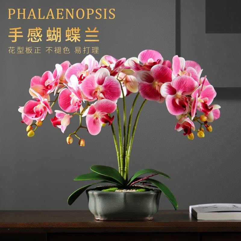创意高端手感蝴蝶兰仿真花客厅茶几盆栽假花艺摆件电视柜装饰摆设,自行车/骑行装备/零配件,更多零件/配件,淘宝优惠券,粉丝福利购,淘宝优惠卷