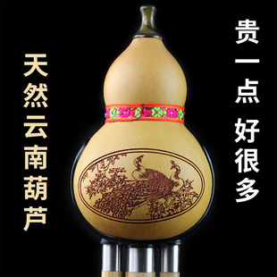 楠竹葫芦丝演奏型三音葫芦丝初学者调降B调防摔儿童小孩专用口琴