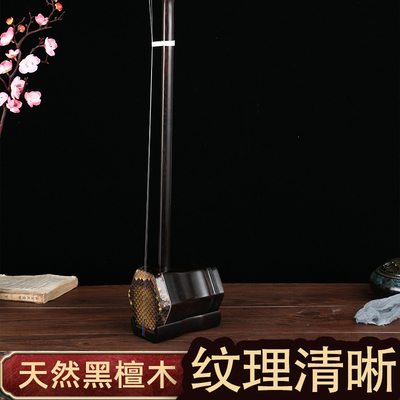 黑檀木大音量二胡演奏二胡初学者成人民族乐器