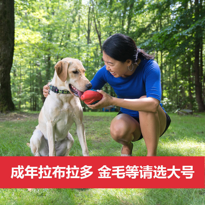 大狗狗玩具大型犬发声球耐咬磨牙宠物狗骨头解闷神器柯基拉布拉多