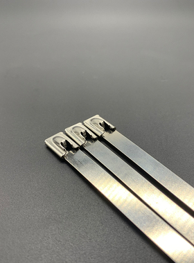 304不锈钢白光带滚珠自锁式扎带BZ-C船用钢扣金属10*200 100条