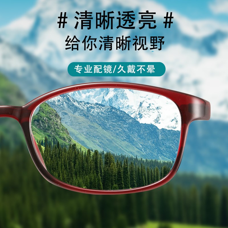 看守所监狱专用老花镜女士超轻清近视老光镜无螺丝无金属镜框女