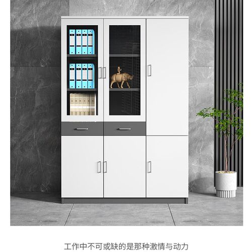 办公室文件柜落地职员工作资料文件档案凭证储物柜保密对开玻璃门