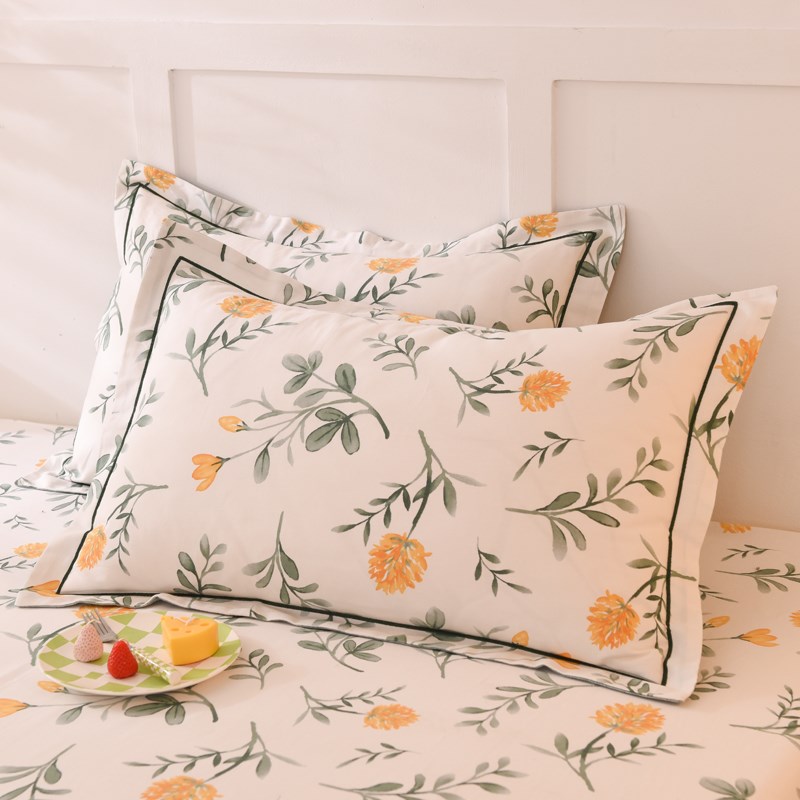 冬季加厚全棉磨毛床单单件田园纯棉保暖学生宿舍被单人家用三件套