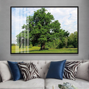 一颗参天大树风景长方形横向进门入户玄关防水铝合金装饰晶瓷挂画