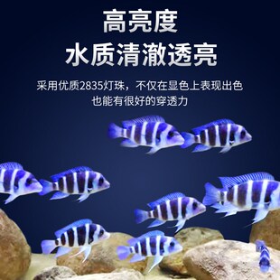 三湖慈鲷灯日出日落慈鲷蓝白灯鱼缸led灯防水水族灯慈鲷专用灯