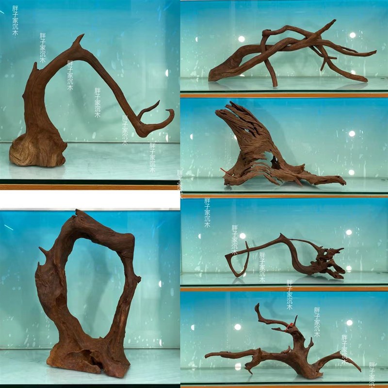 沉木多枝飘枝造景鱼缸天然沉木沈木造景