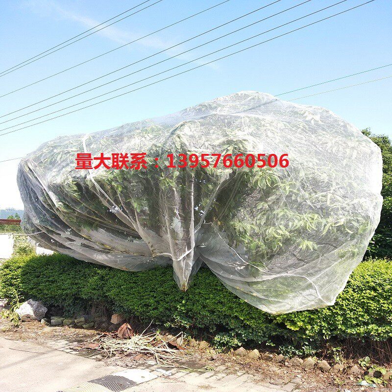 防虫网家用窗纱网防蚊子苍蝇农用大棚菜园果树杨梅树脐橙树养猪厂