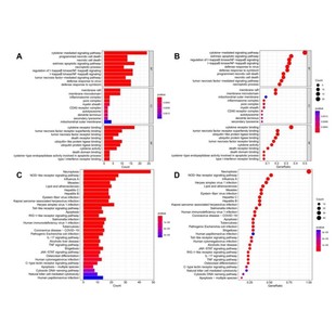 医学生信分析 单细胞测序生信3-5思路 TCGA数据库挖掘KEGG，GO