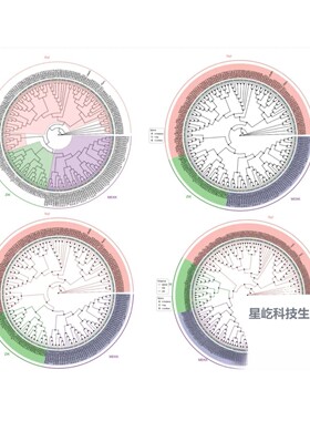 生信分析TCGA/GEO数据库挖掘 孟德尔随机化 单细胞测序转录组分析