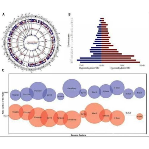 中医网络药理学 中药复方 分子对接代做 TCMSP GO/KEGG cytoscape