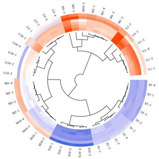 生信分析TCGA GEO GWAS数据库挖掘孟德尔随机化转录组分析