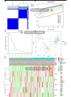 TCGA GEO数据库挖掘细胞测序转录组分析多组学分析服务