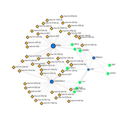代做MS VASP高斯计算gromacs Amber代做分子对接Lammps分子动力学