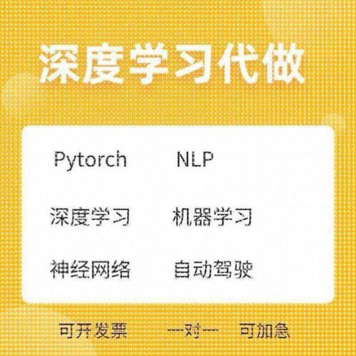Python深度学习机器学习神经网络代做目标检测语义分割NLP