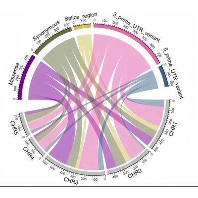R语言绘制SCI科研图Rstudio绘图数据源代码roc源码生物pca源文件