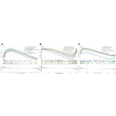 医学生信分析 单细胞测序生信3-5思路 TCGA数据库挖掘KEGG,GO分析