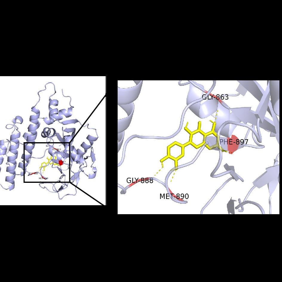 分子对接/虚拟筛选/药物设计/网络药理学/分子动力学