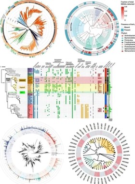 R语言数据分析java程序代做c++c语言matlab图像处理python编程php