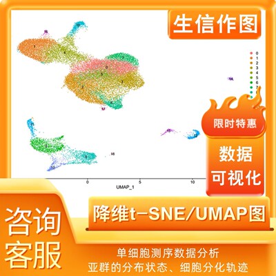 降维tSNE UMAP图生信分析单细胞测序数据帮作图免疫肿瘤细胞R语言