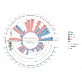 生信分析Seurat组转录组测序空间转录单细胞分析数据挖掘scRNA