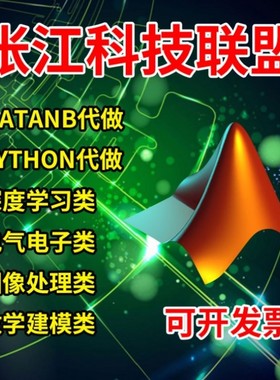 matlab代编程序代做帮做python代码编写深度学习复现代码算法仿真