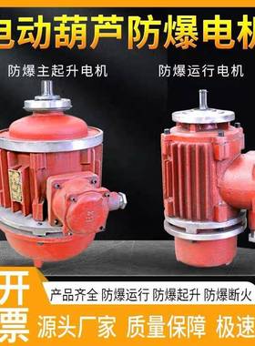 BZDI52-418.5W防爆电动葫芦隔爆锥形转子电机变频