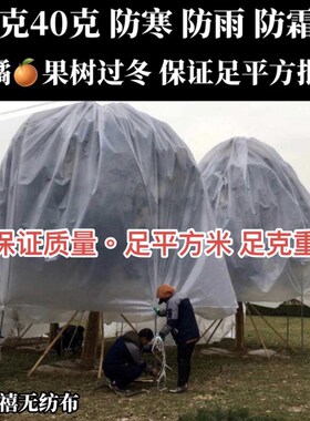 防雨罩単张遮盖布果树綠色植物防霜防水透气抗老S化水果防裂遮雨