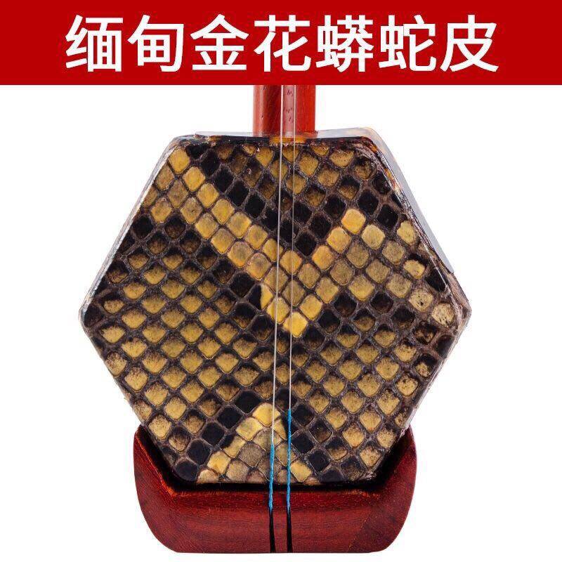 苏州二胡乐器红木铜m轴二胡专业二胡红木二胡练习演奏二胡初学者