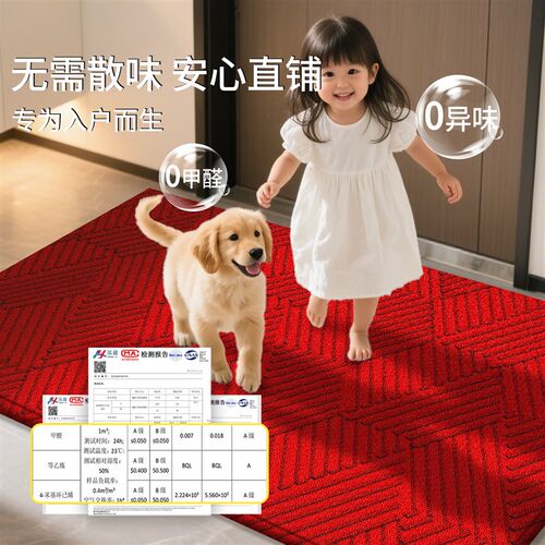 地垫入户门垫进门k门口脚踏垫2025新款可擦免洗耐脏防滑可裁剪脚