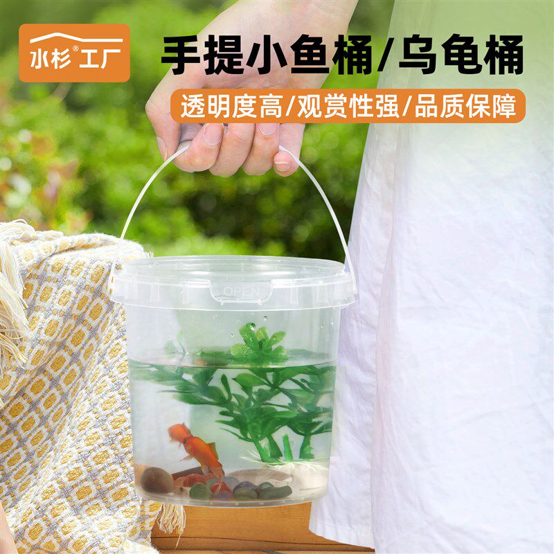 小金鱼透明塑料桶小水桶养龟桶乌龟隔离盒发色饲养盒蚯蚓养殖桶