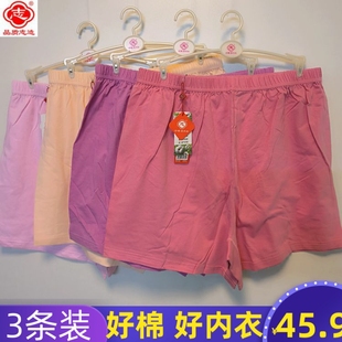 纯棉纯色加肥加大平角裤 精梳棉老式 头9132 志牌女士内裤 众志