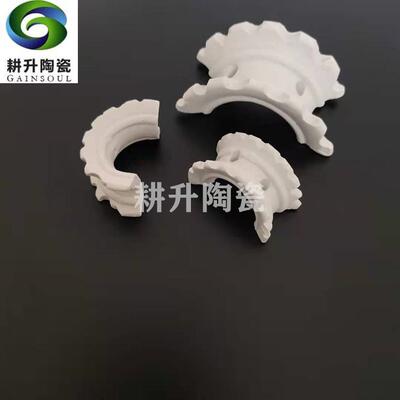 陶瓷散堆塔填料、陶瓷异鞍环、散堆填料用于化工塔器厂家