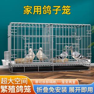 鴿子籠養(yǎng)殖籠家用帶隔斷配對(duì)繁殖籠大號(hào)肉鴿籠鴿子用品鴿舍鴿子窩